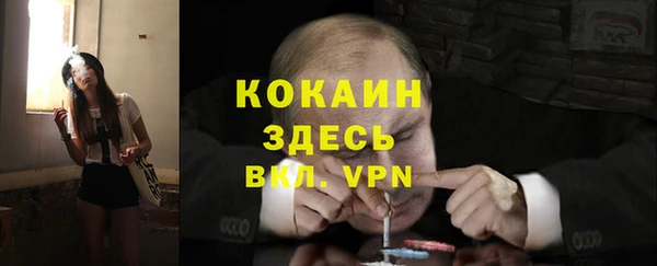 стафф Заволжье