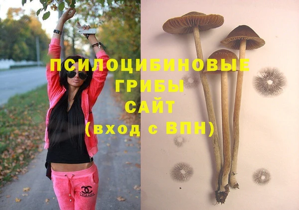 стафф Заволжье