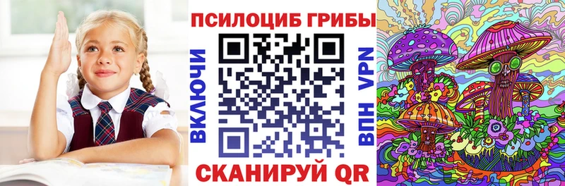 Купить где Любань Псилоцибиновые грибы мицелий